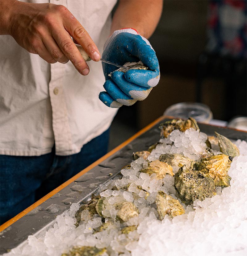 stephen serrao shucking an oyster